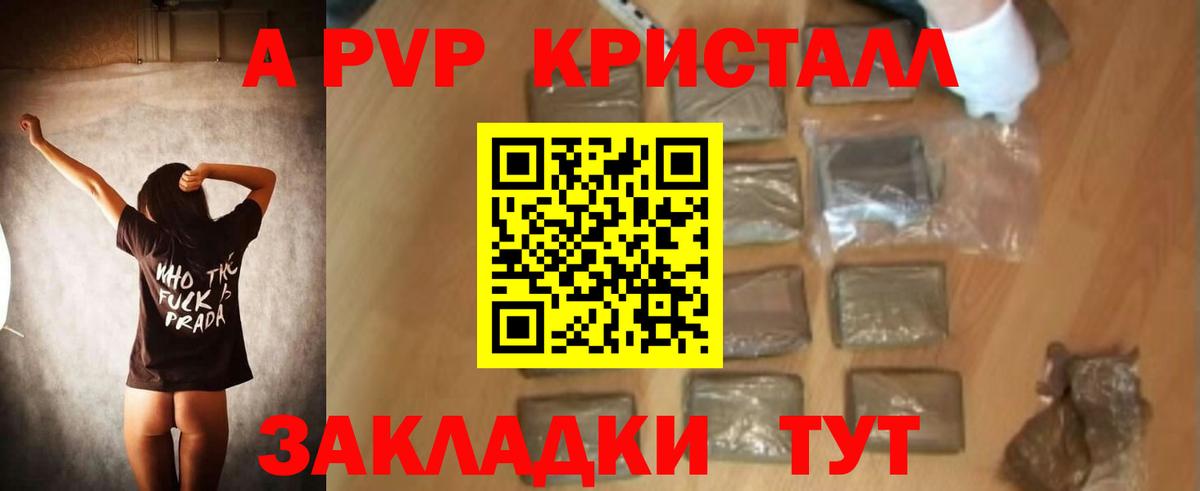 Альфа ПВП СК КРИС Вышний Волочёк