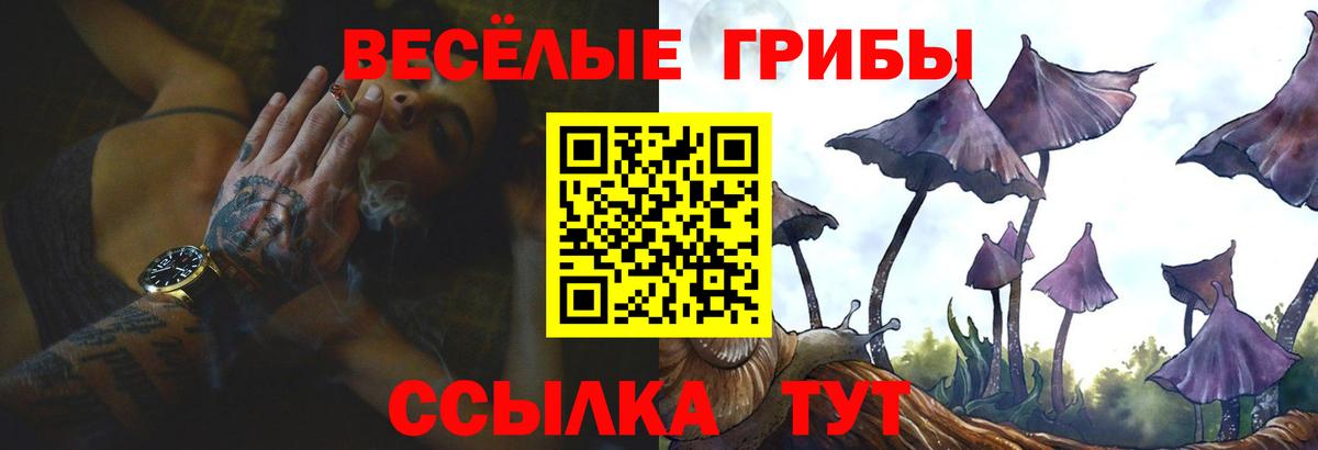 Вышний Волочёк  Псилоцибиновые грибы мицелий  Галлюциногенные грибы ЛСД  Вход с VPN 
