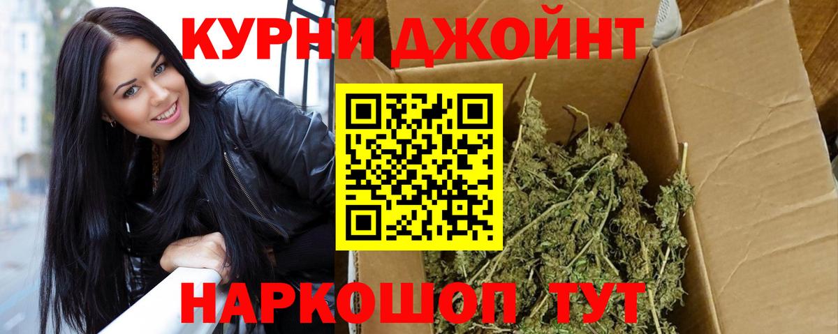Конопля сатива Вышний Волочёк